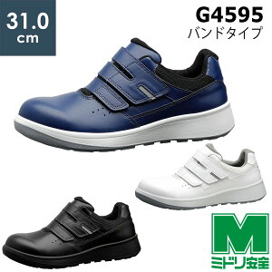 ~hS SC G4595 (oh^Cv) zCg ubN lCr[ TCY 31.0