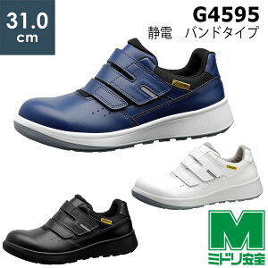 ~hS SC G4595 Ód (oh^Cv) zCg ubN lCr[ TCY 31.0