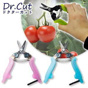 EhEGS ₷ɂ|p͂ hN^[Jbg 3J[