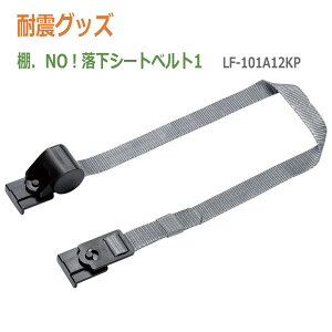 ϐkObY@ebN21@IDNOIV[gxg1 LF-101A12KP