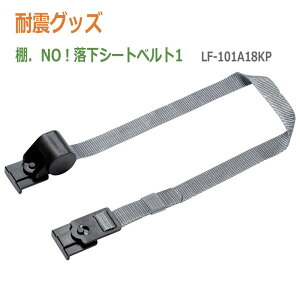 ϐkObY@ebN21@IDNOIV[gxg1 LF-101A18KP