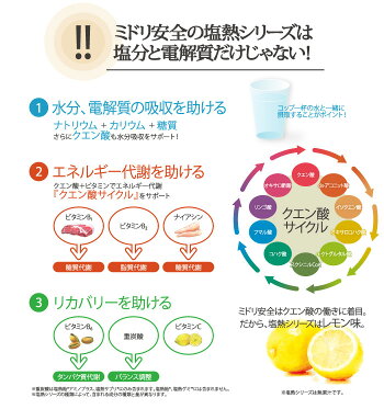 楽天市場 人気です おすすめ 塩熱サプリ スポーツ マラソン サッカー テニス ゴルフ アウトドア ミドリ安全 塩熱サプリ6粒ptp 電解質をクイックチャージ 1シート 6粒入り 10シート えんねつサプリ 熱中対策 ミドリ安全 楽天市場店 楽天市場 人気です おすすめ 塩熱サプリ スポーツ マラソン サッカー テニス ゴルフ アウトドア ミドリ安全 塩熱サプリ6粒ptp 電解質をクイックチャージ 1シート 6粒入り 10シート えんねつサプリ 熱中対策 ミドリ安全 楽天市場店