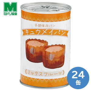 ~hS ۑpp LECp ~bNXt[c 24ʁ^P[X