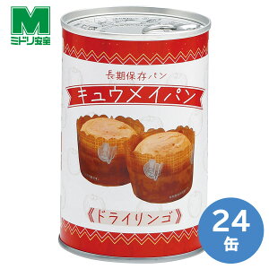 ~hS ۑpp LECp hCS 24ʁ^P[X