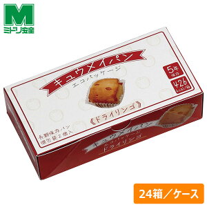 ~hS ۑpp LECp GRpbP[W hCS 24^P[X