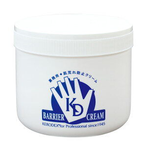  یN[ PfbNXN[ W[^Cv 500g