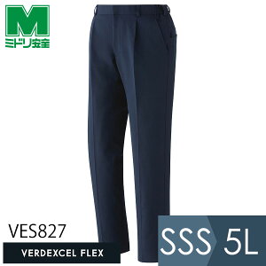 ~hS ƕ t xfNZtbNX RENU(R) jp pc VES827 lCr[ SSS`5L