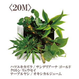 yz~hGfUC Ǌ| FRAMEiXNGAj 8F  yɑy ptJ ϗtA  