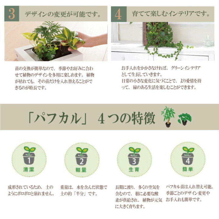 楽天市場】【公式】3個で割引 お得な植栽お任せセット 壁掛け 観葉植物 