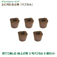 【公式】ミドリエ 3号パフカル (5個セット) 鉢上げ 育てて楽しむ お手入れ簡単 清潔 軽量