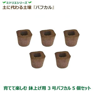 �y�����z�~�h���G 3���p�t�J�� (5�Z�b�g) ���グ ��ĂĊy���� �������ȒP ���� �y��