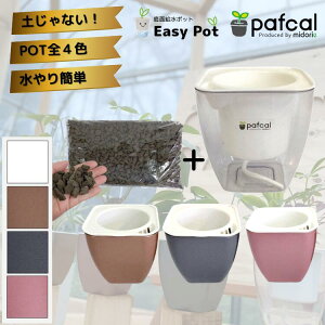 yz~hG ʋ|bg POT-A [ptJ\Ct]icʔj ϗtA 