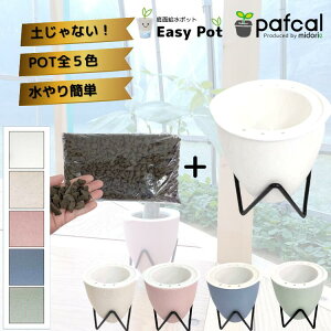 yz~hG ʋ|bg POT-B [ptJ\Ct] icʔjϗtA 