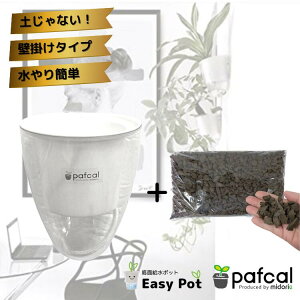 yz~hG ʋ|bg POT-C [ptJ\Ct]icʔj ϗtA 