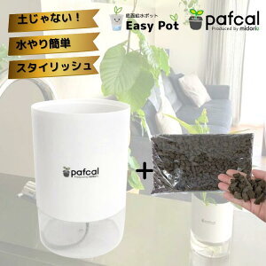 yz~hG ʋ|bg POT-D [ptJ\Ct]icʔj ϗtA 