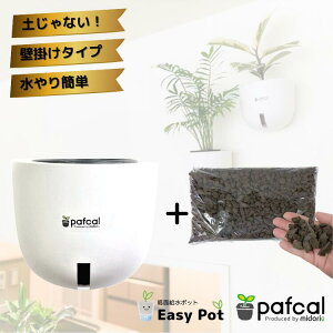 yz~hG Ǌ| ʋ|bg POT-E [ptJ\Ct]icʔj ϗtA 