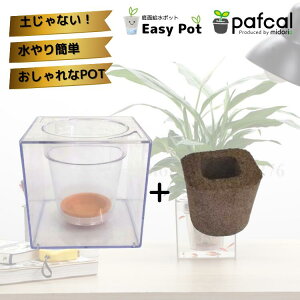 yz~hG ʋ|bg POT-G [3ptJt]icʔj ϗtA  ptJ