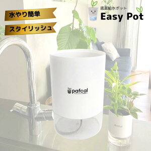 yz~hG ʋ|bg POT-DPiiptJEcʔjϗtA 