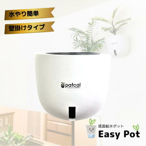 yz~hG Ǌ| ʋ|bg POT-EPiiptJEcʔj ϗtA 