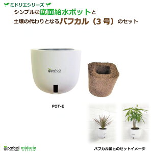 yz~hG Ǌ| ʋ|bg POT-E [3ptJt]icʔj ϗtA 