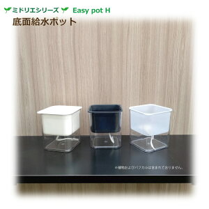 yzʋ|bg POT-HPiiptJEcʔj~hGV[Y ϗtA 