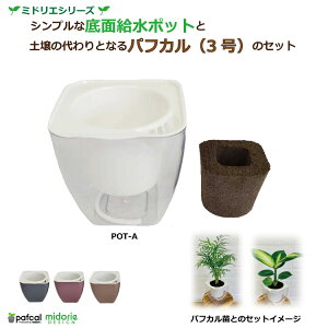 yz~hG ʋ|bg POT-A [3ptJt]icʔj ϗtA 