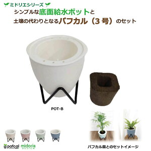 yz~hG ʋ|bg POT-B [3ptJt]icʔj ϗtA 