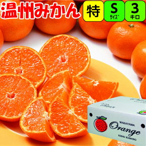 IBY pyIz݂ STCY 3kg ʍ͔| Â Ղ ݂  Εp IB I B݂ n Z  n t[c ƒp Ε Ε Mtg p 