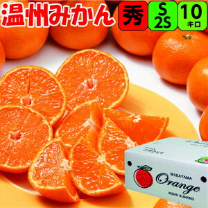 yGiza̎R ݂ S  SS TCY 10kg ÂՂ݂̂ IB a̎R I B݂ ݂ n݂ n Z x Â ݂ ʂ݂ t[c ƒp