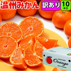 【訳アリ】みかん 10kg 密柑2S/S/М/Lサイズ混合の場合もあります 送料無料 紀州 和歌山 紀南 温州みかん 早生みかん 完熟みかん 完熟 濃厚 糖度 甘いみかん フルーツ 家庭用 お歳暮 御歳暮 愛媛