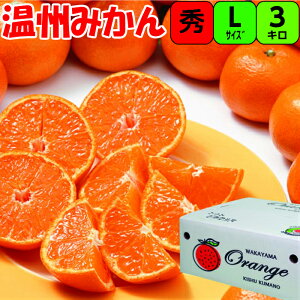 IBYiyGiz n݂ LTCY 3kg ʍ͔| Â Ղ ݂  IB I݂ B݂ ݂ n Z x Â Ε Mtg p ݂ i 