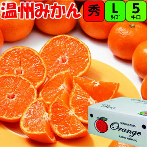 yGiza̎R ݂ LTCY 5kg ʍ͔| Â Ղ ݂  Εp IB B݂ ݂ Z x x Â ƒp Ε Ε Mtg p ʕ t[