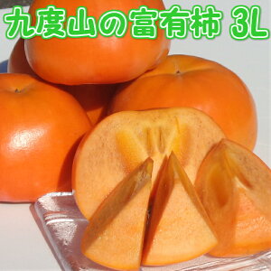 xL` 3L TCY 7.5 kg 24yGiz ӂ䂪  ` a̎R Y xR xL` Z x Â  Ε Ε Mtg p a̎RY@ޗ 