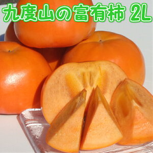 富有柿 2L サイズ 7.5 kg 【秀品】 送料無料ふゆがき かき 柿 和歌山 名産 九度山 富有柿 濃密 高糖度 甘い お歳暮 御歳暮 ギフト 贈答用