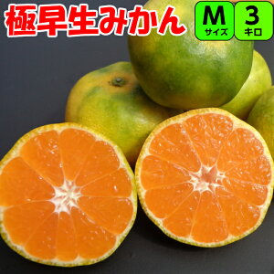 yGiz ɑ݂ 3kg M TCY IB a̎R I B݂ ɑ݂ ݂ x Â _  t[c ƒp Mtg  ݂ ~J 킹݂