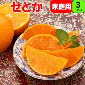 (お試し) せとか【家庭用】少し傷アリ 3kg 3L/～Lサイズ混合の場合もあります 送料無料柑橘の大トロといわれるほどジューシ 和歌山 紀州産紀南 紀州 和歌山 木熟 もぎたて 完熟 濃厚 糖度 甘い フルーツ 家庭用 訳あり みかん