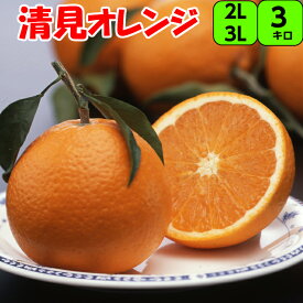 貯蔵清見オレンジ 3kg 2L 又 3L 【秀品】 送料無料 果汁は豊富で甘さと酸味がほどよく調和されています みかん 清見 オレンジ きよみ タンゴール 紀南 紀州 和歌山 木熟 もぎたて 完熟 濃厚 糖度 甘い 果実 フルーツ 贈答 ギフト　せとか