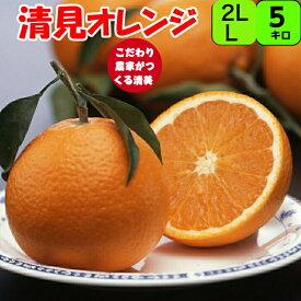 清見オレンジ 5kg L又2L サイズ【秀品】こだわり農家がつくる清美 果汁はジューシーで濃厚 一度お召し上がり下さい。送料無料 みかん きよみ 紀南 紀州 和歌山 もぎたて 完熟 糖度 甘い 果実 フルーツ 贈答 ギフト 清見タンゴール