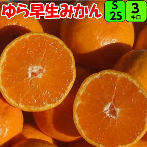 瑁 ݂ 3kg S  2S TCY yGiz IB a̎R I B݂ 瑁݂ ɑ݂ x Â _   t[c Mtg p ƒp Rǃ~J 