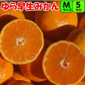瑁 ݂ 5kg M TCY yGiz IB a̎R I B݂ 瑁݂ ɑ݂ x Â _  t[c Mtg p ƒp Lc݂ Lc 肾