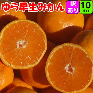 瑁 ݂ 10kg 2S.S.TCY 󂠂yDiz IB a̎R I B݂ 瑁݂ ɑ݂ x Â _  t[c ƒp Lc݂ 肾 Lc 󂠂