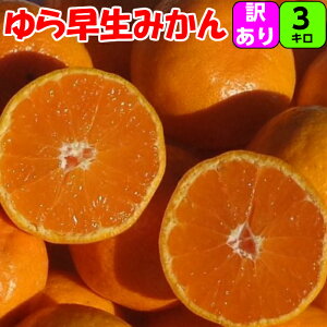 瑁݂ A 3kg 2S/STCY  IB a̎R I B݂ 瑁݂ ɑ݂ x Â _  t[c ƒp ʂ݂ ݂  ݂ 󂠂 