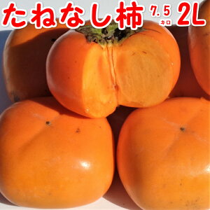 ˂Ȃ ` 2L TCY 7.5kg yGiz  JL Ȃ` j` ` 킹` a̎R Â  Ε Ε Mtg p