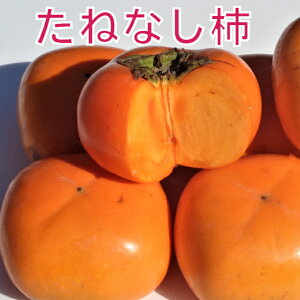 ˂Ȃ ` 3L TCY 5kg yGiz  JL Ȃ` j` ` 킹` a̎R Â  Ε Ε Mtg p