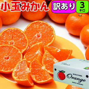 小玉みかん 【家庭用】3kg 2S/Sサイズ(混合の場合もアリ ) 送料無料 特別栽培 極上 甘さ たっぷりの みかん 多少の傷アリ 紀州 紀南 和歌山県産 温州みかん 産地直送 小ミカン 小粒 濃厚 糖