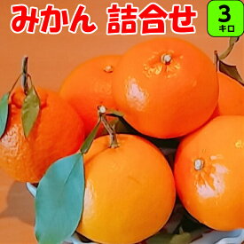 和歌山の旬の柑橘詰合せ3～4種類 3kg 送料無料せとか ネーブル 清見 ;デコポンカラー 春峰柑八朔 甘夏その他色々　紀州 和歌山 紀南 完熟 濃厚 糖度 甘い 家庭用 ギフト 贈答用 密柑 果物 フルーツ みかん