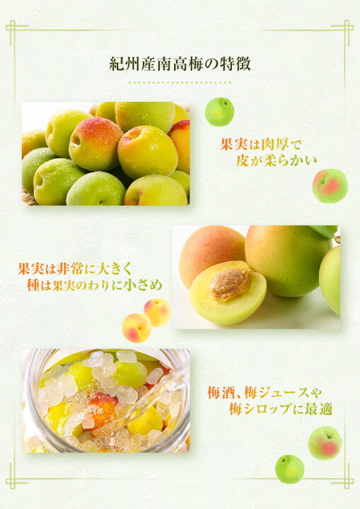 楽天市場】和歌山県産 紀州南高梅 【青梅】秀品 3kg 2Lサイズ（中粒 