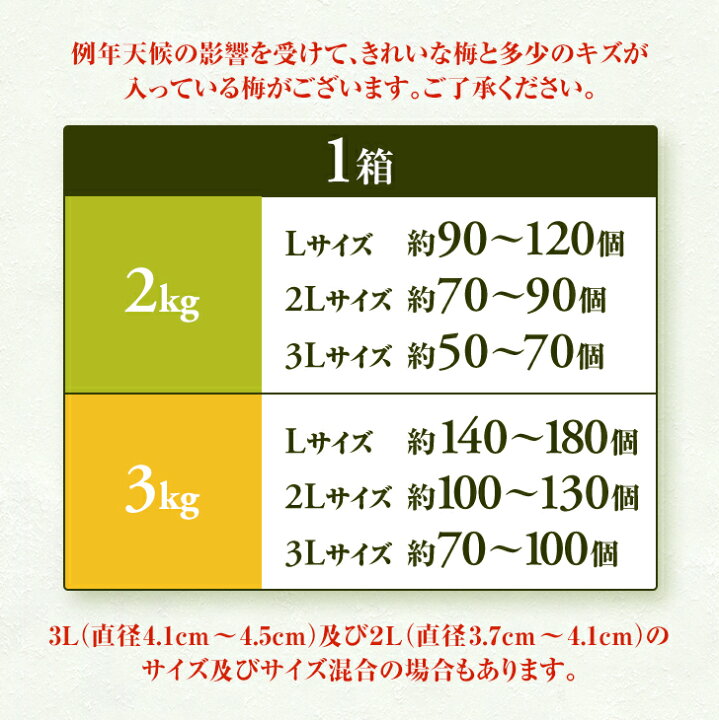 楽天市場】和歌山県産 紀州南高梅 【青梅】秀品 3kg 2Lサイズ（中粒 