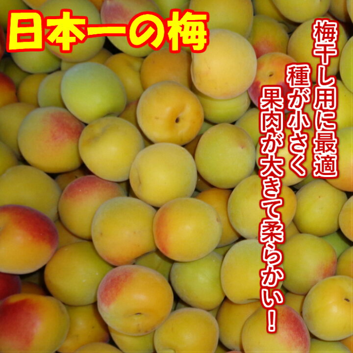 楽天市場】南高梅 【優品】完熟梅 3L/2Lサイズ 3kg 多少の傷スレ傷が 