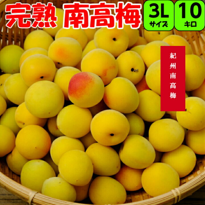 楽天市場】【送料無料】数量限定 【秀品】3Lサイズ 10kg【完熟梅  